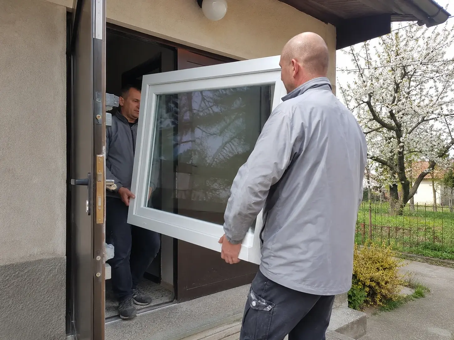 Dva radnika u prolećnim jaknama unose novi beli PVC prozor u kuću, drvo u cvetu u dvorištu.